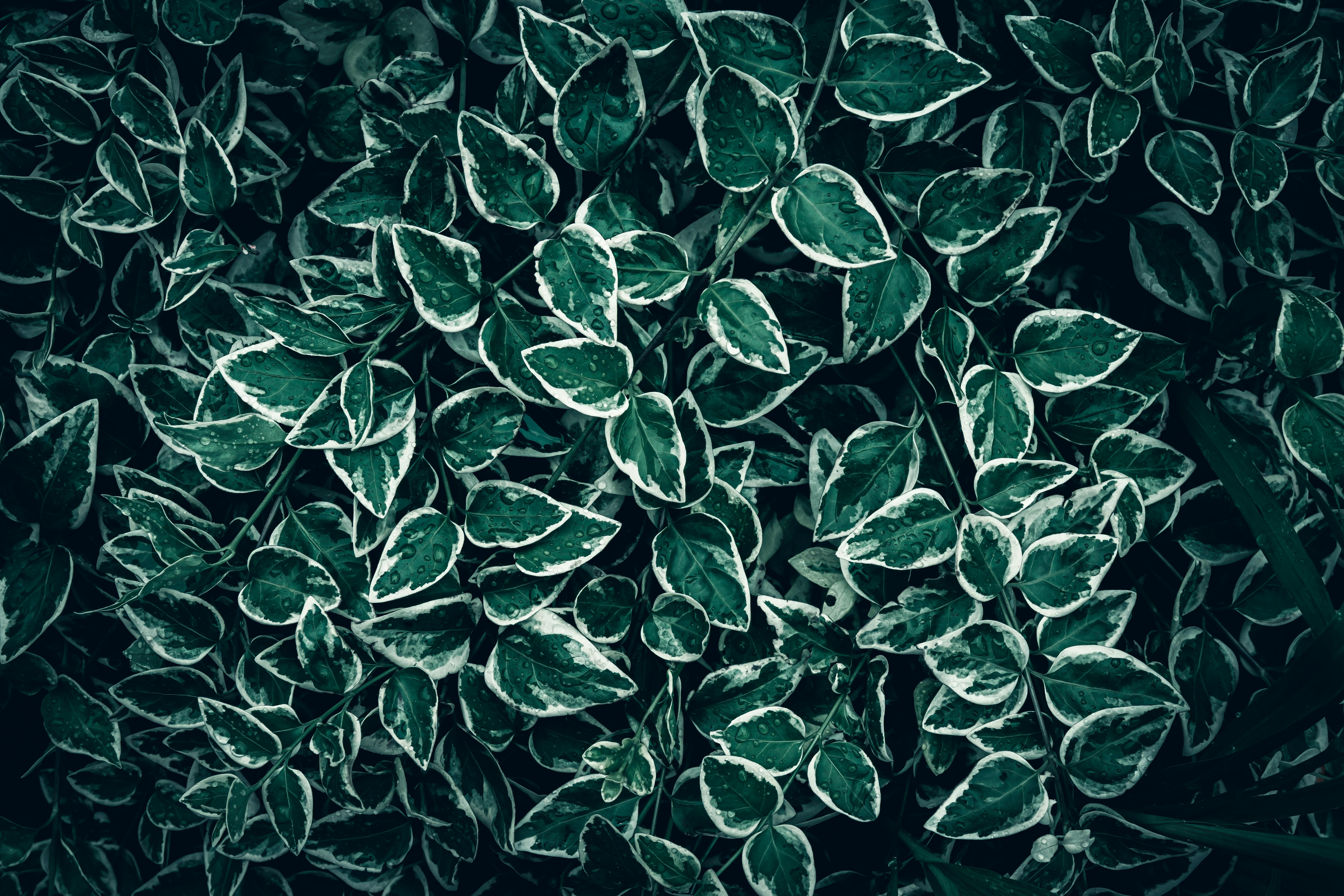 image01